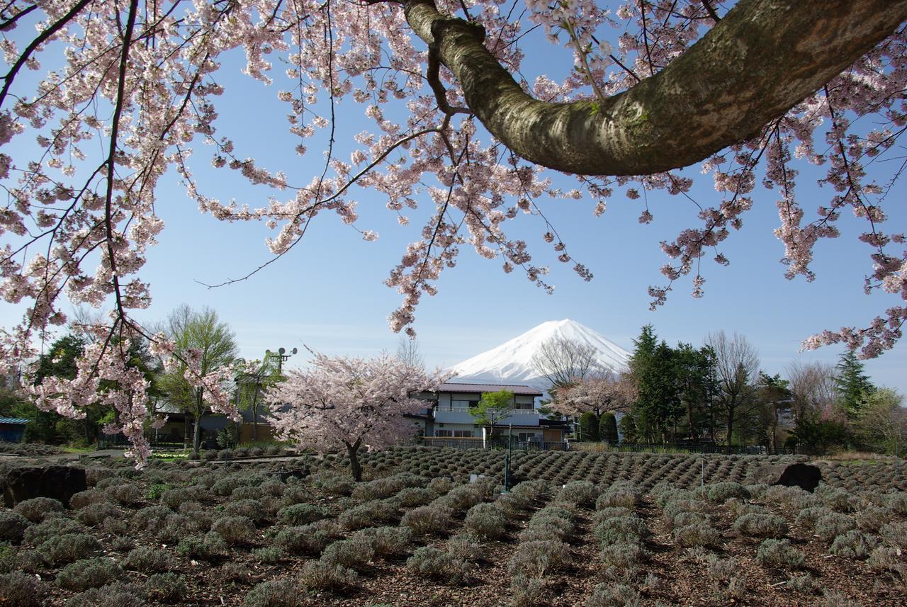 Togawaso Hotel Fujikawaguchiko Luaran gambar